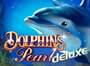 dolphins pearl deluxe